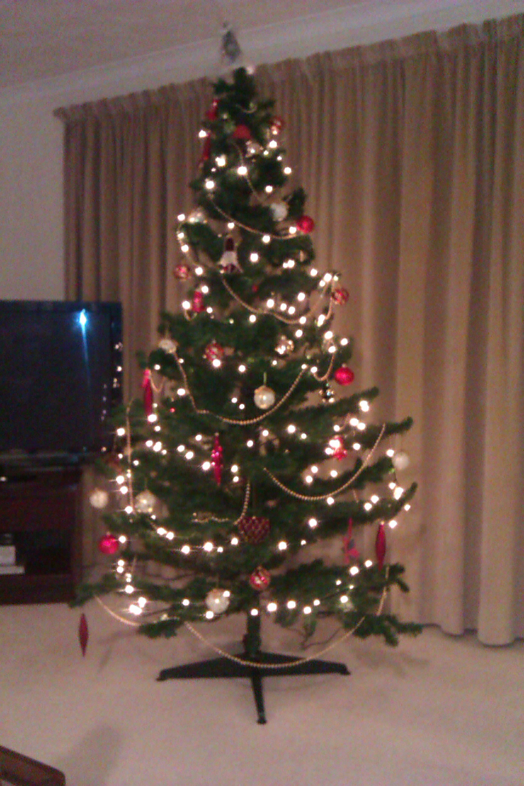 christmas tree image
